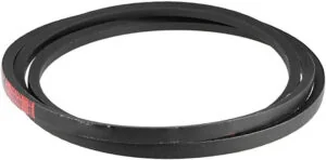 51gncYzByZL. AC SX679  1 300x148